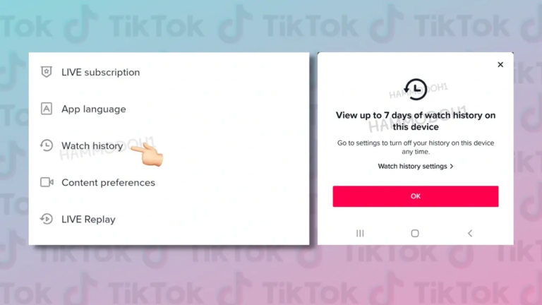 TikTok Tests New ‘Watch History’