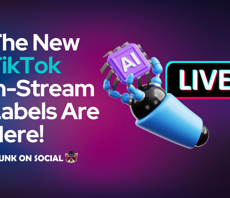 The New TikTok In-Stream Labels Are Here!